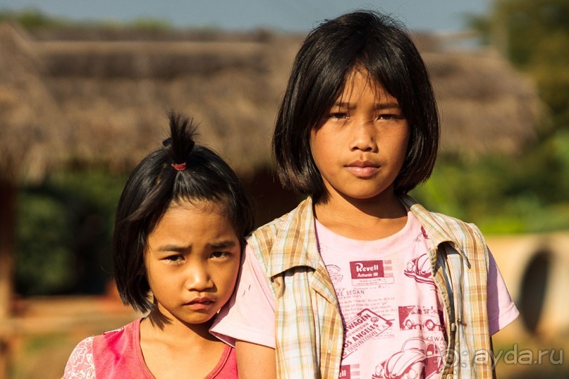 Альбом отзыва "Таиланд, детали"