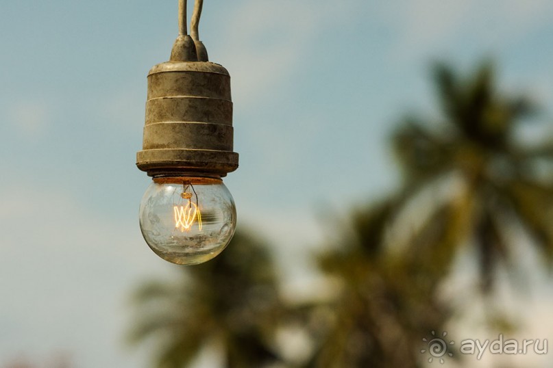 Альбом отзыва "Таиланд, детали"