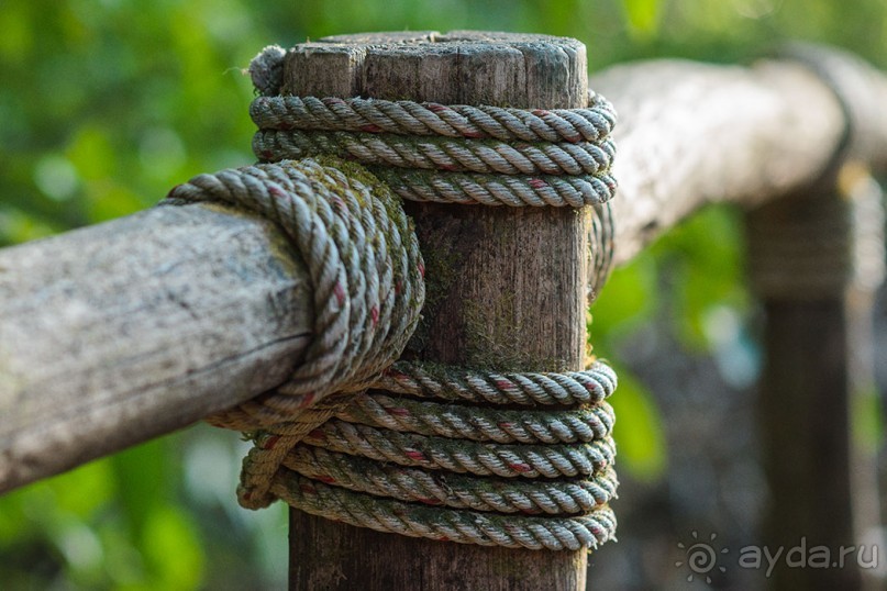 Альбом отзыва "Таиланд, детали"