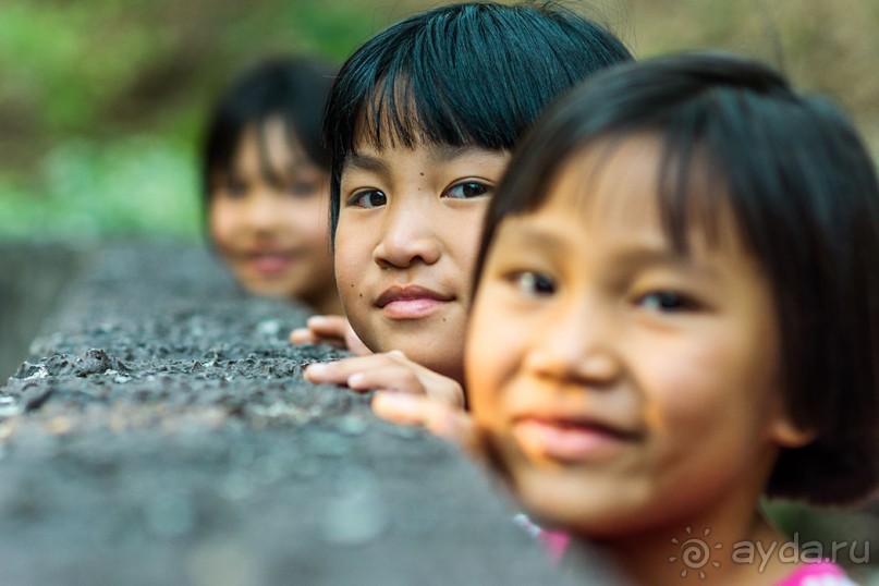 Альбом отзыва "Таиланд, детали"