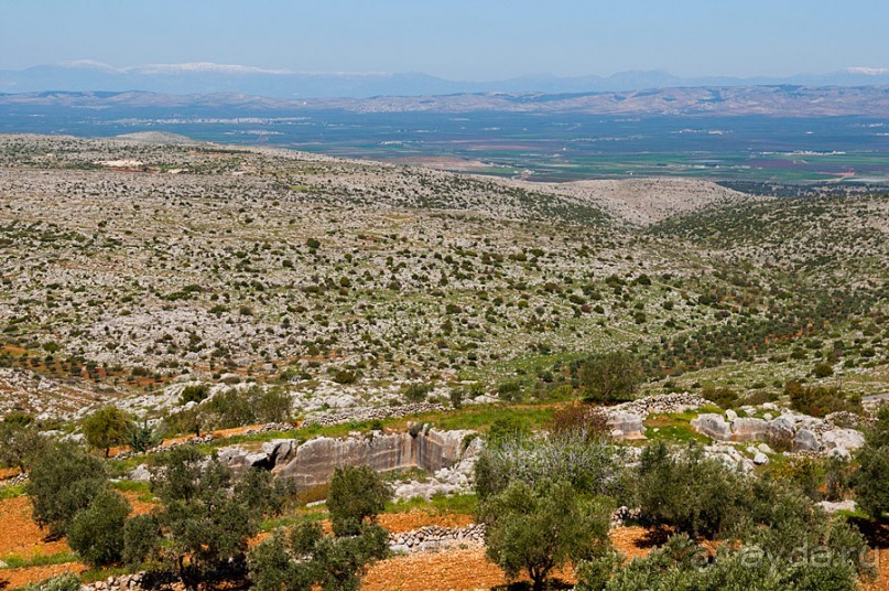 Базилика Сан Симеона