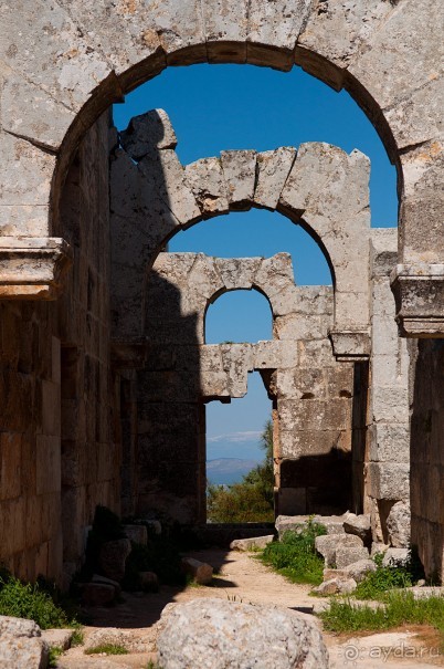 Базилика Сан Симеона