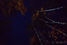 Альбом отзыва "Осенний поход в Козельском районе Калужской области"