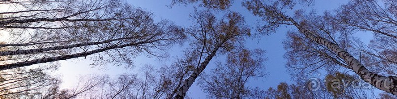 Осенний поход в Козельском районе Калужской области