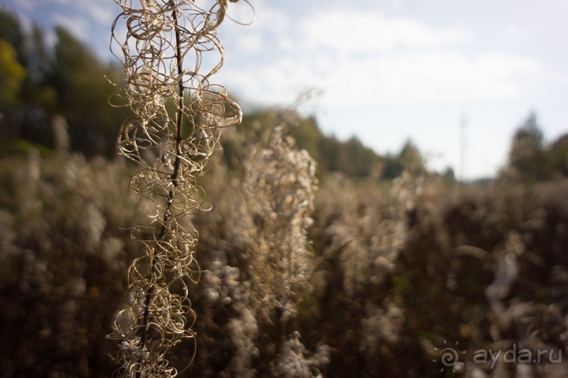 Осенний поход в Козельском районе Калужской области