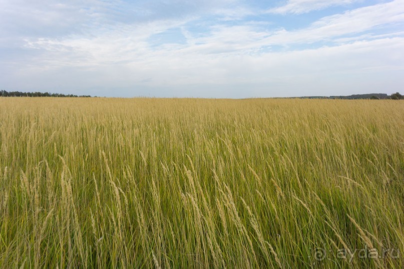 Осенний поход в Козельском районе Калужской области
