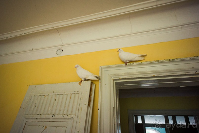 Усадьба Покровское Глебово-Стрешнево