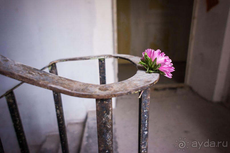 Усадьба Покровское Глебово-Стрешнево