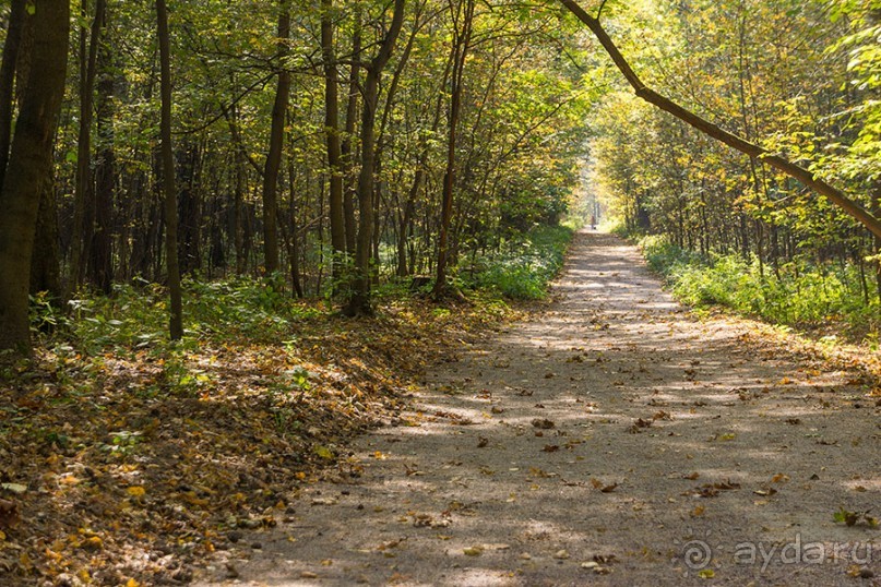 Усадьба Покровское Глебово-Стрешнево