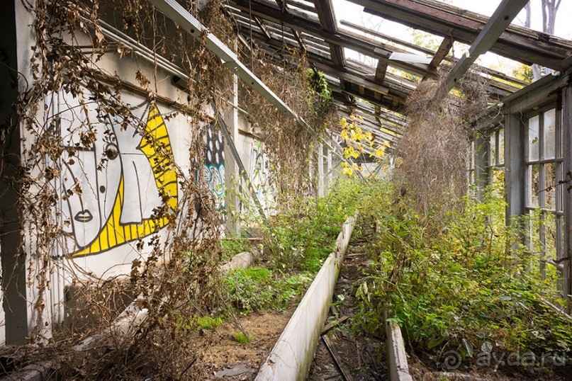 Усадьба Покровское Глебово-Стрешнево