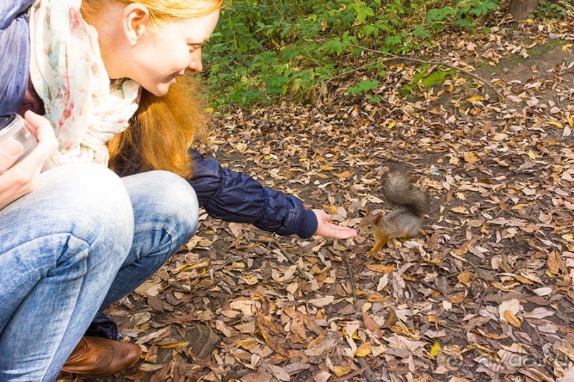 Усадьба Покровское Глебово-Стрешнево