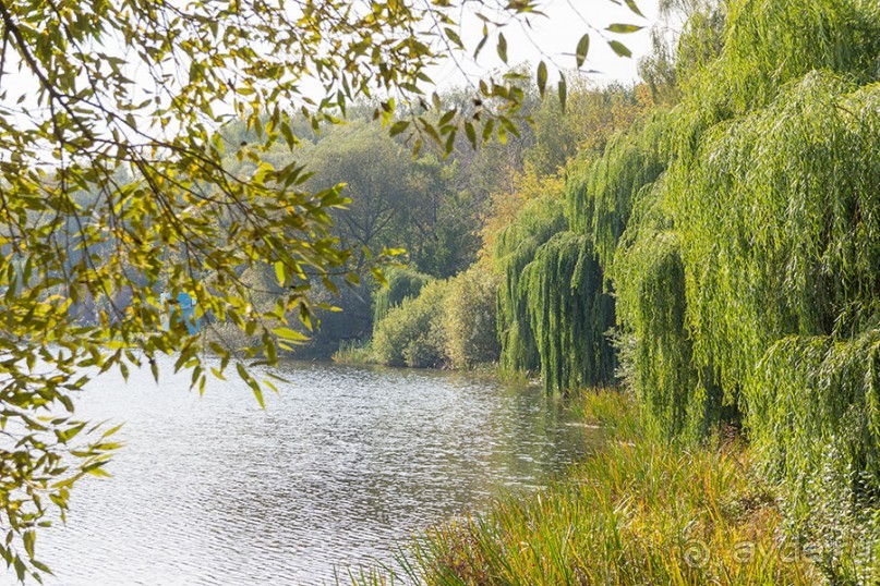 Усадьба Покровское Глебово-Стрешнево