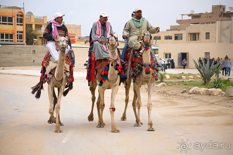 Зимний Египет