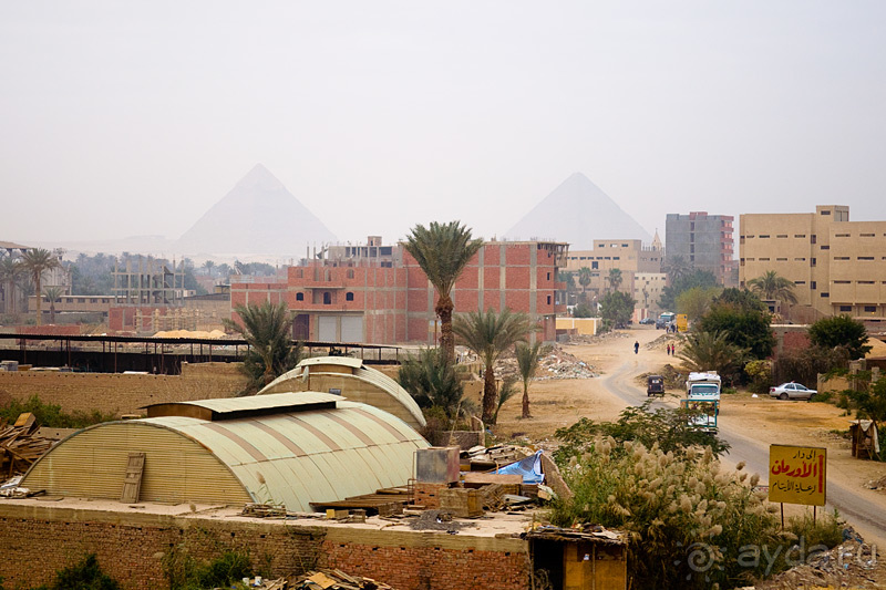 Альбом отзыва "Зимний Египет"