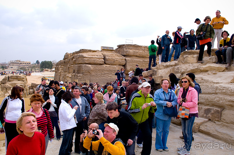 Альбом отзыва "Зимний Египет"
