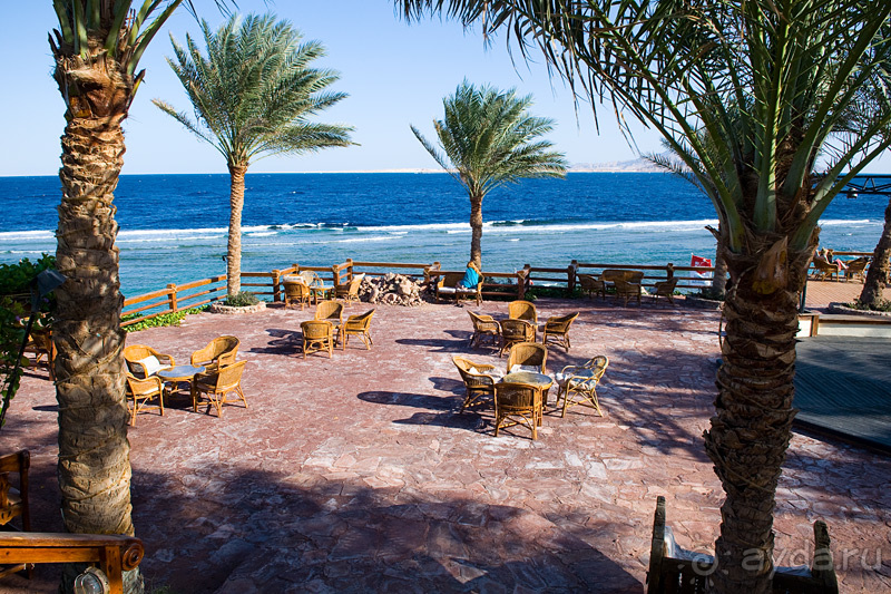 Зимний Египет