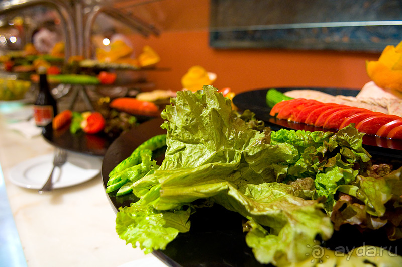 Зимний Египет