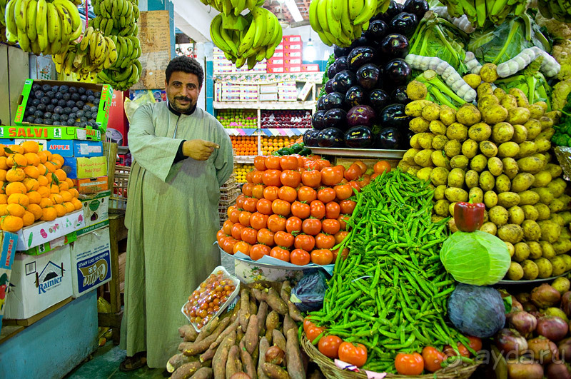 Зимний Египет