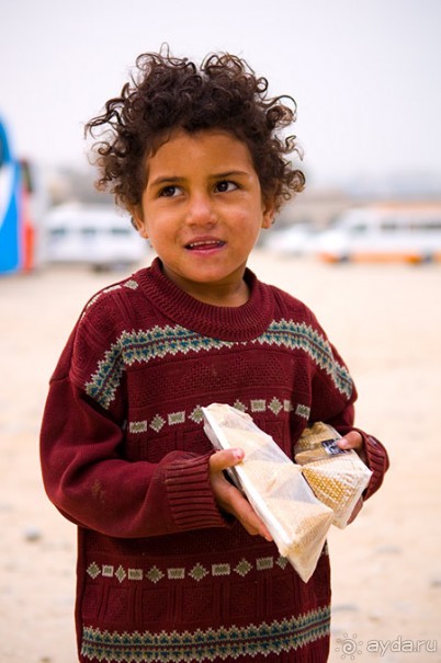 Зимний Египет