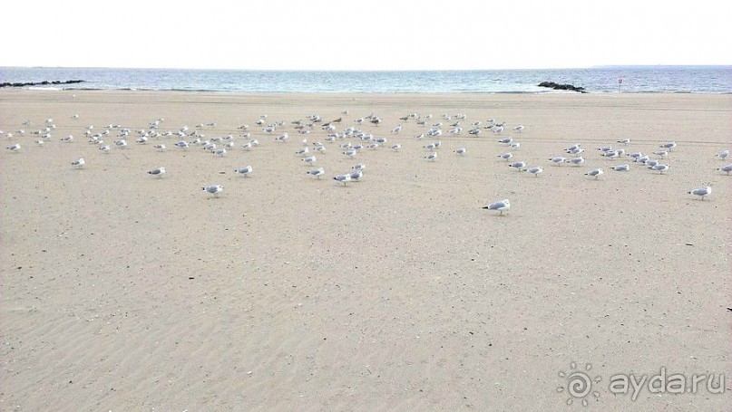 Брайтон-бич и Кони-айлэнд