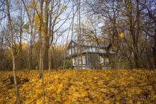 Кузьминки