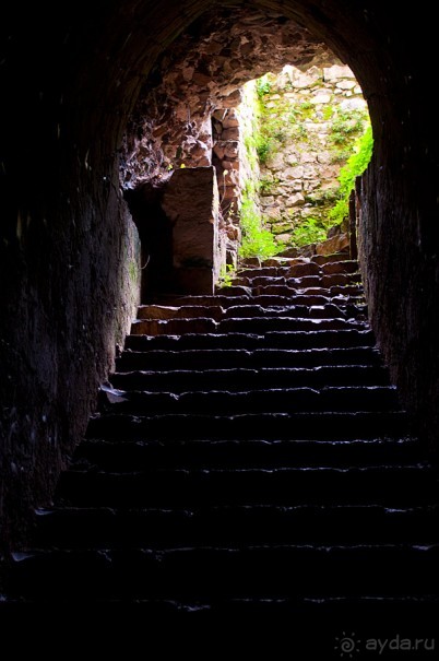 Сирия: Сейдная, Маалюля, замок Крак Де Шевалье