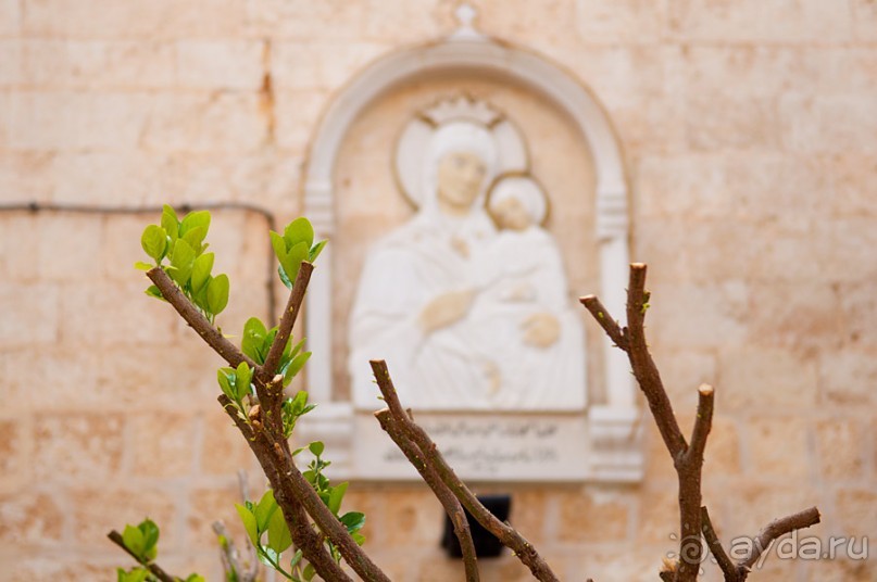 Сирия: Сейдная, Маалюля, замок Крак Де Шевалье