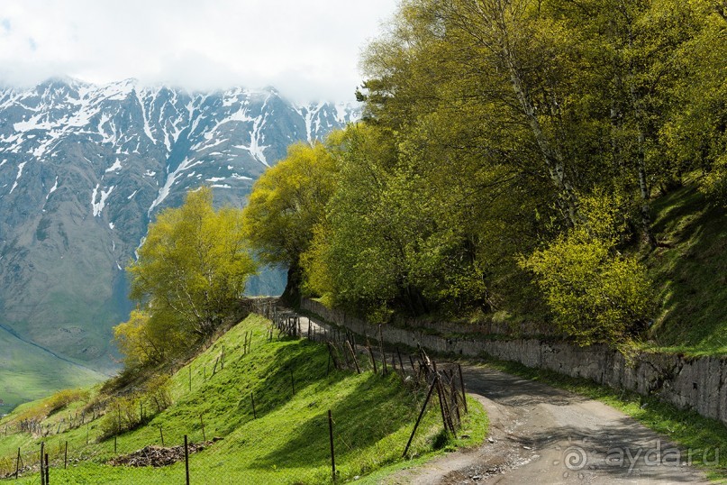 Впечатления о Грузии