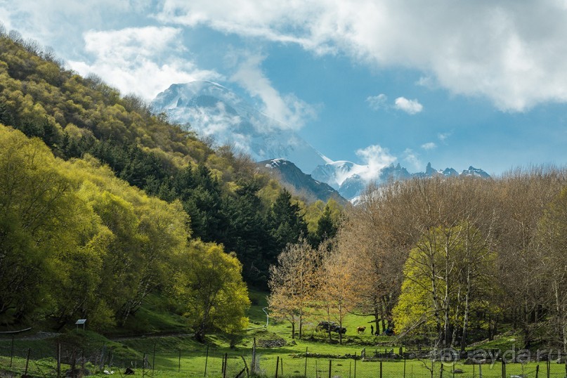 Впечатления о Грузии