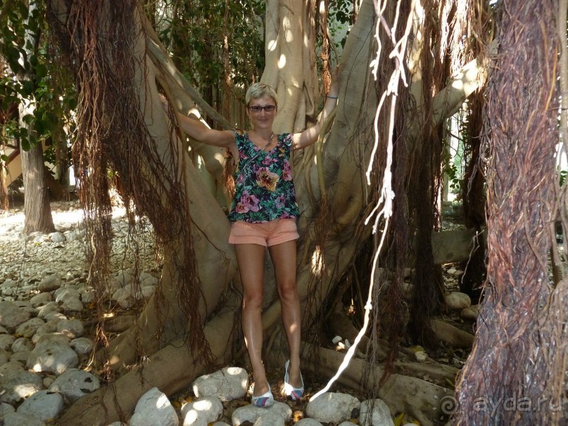 Asteria обожает своих туристов!