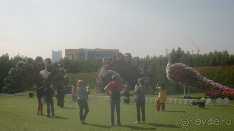 Отдых на 100!!