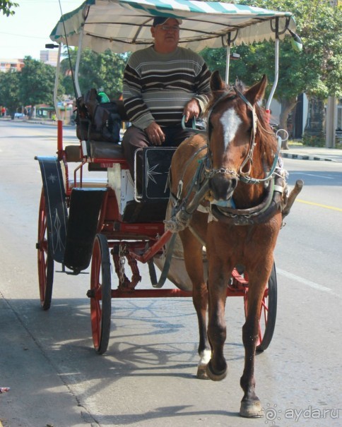 На любителя