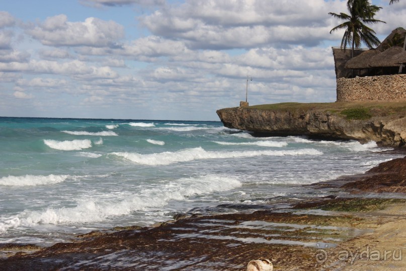 На любителя