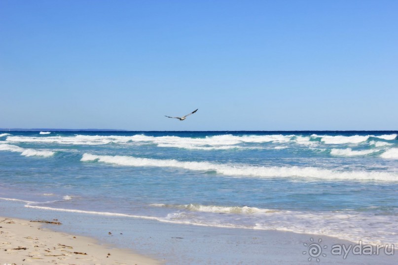 На любителя