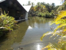 фото Bavaro Princess