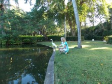 фото Bavaro Princess