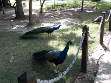 фото Bavaro Princess