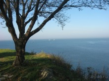 ну ужас но не ужас ужас ужас