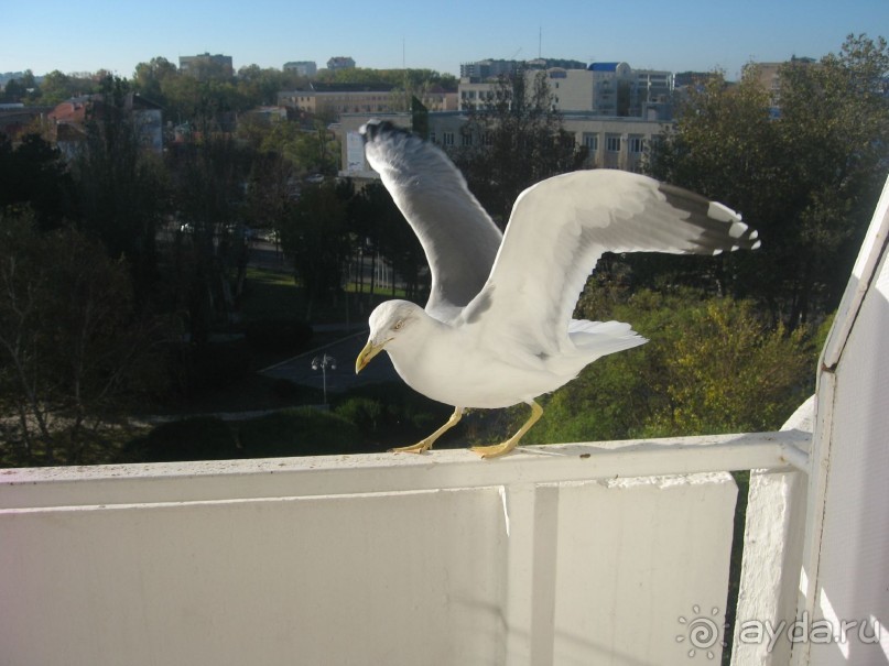 ну ужас но не ужас ужас ужас