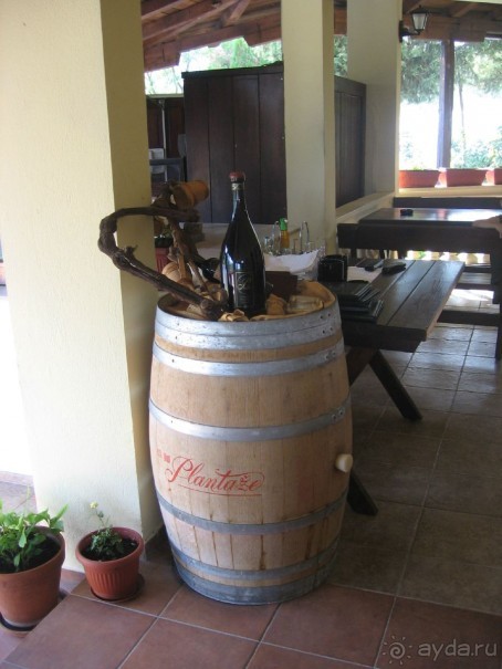 Великолепный семейный отдых