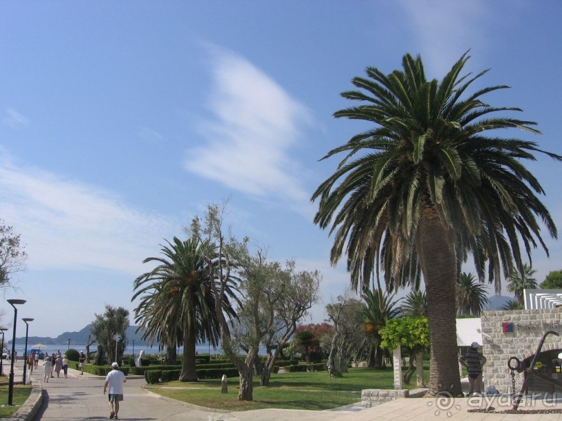 Великолепный семейный отдых