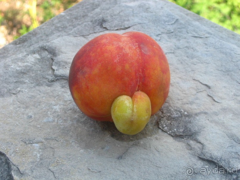 Великолепный семейный отдых