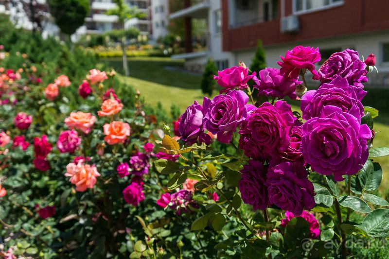 фото Prestige Fort Beach (Престиж Форт Бич)