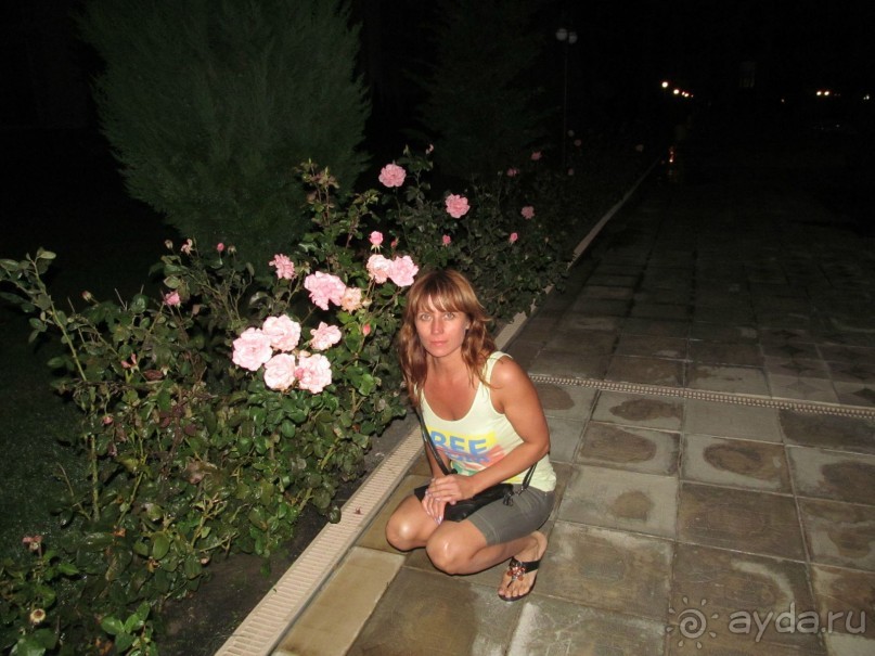 вечером так пахнут розы )