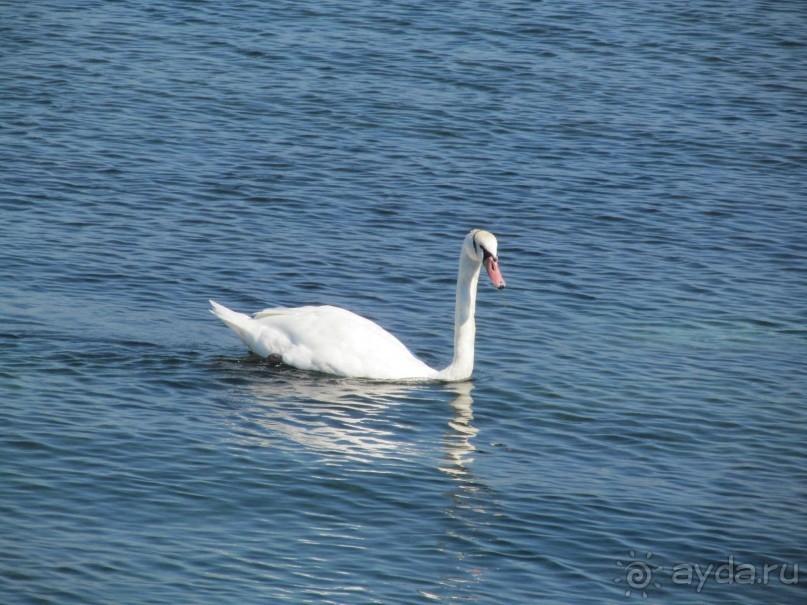 бизнес-класс