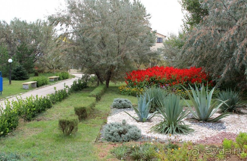 Спасибо "Северному Сиянию"