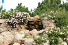 Спасибо "Северному Сиянию"