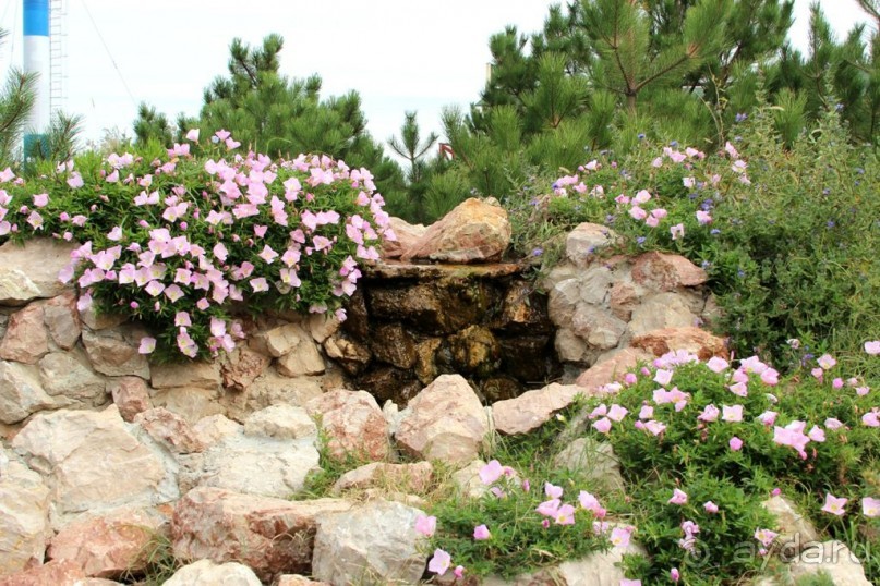 Спасибо "Северному Сиянию"