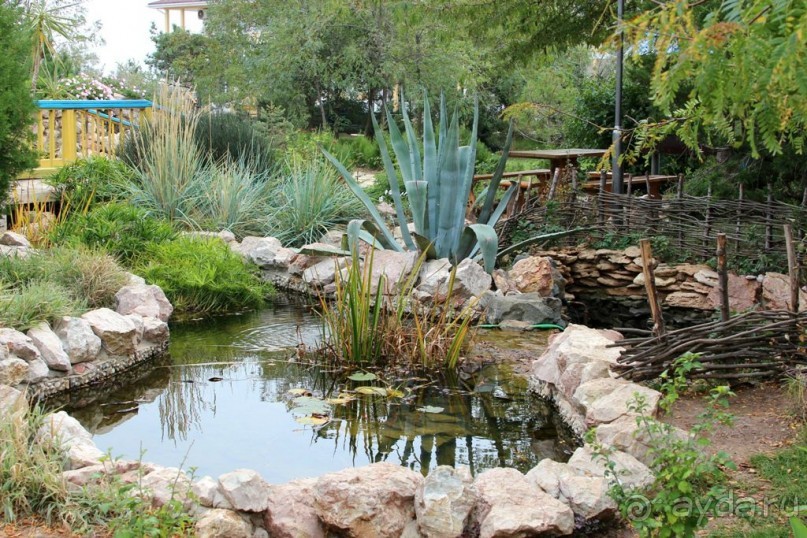 Спасибо "Северному Сиянию"