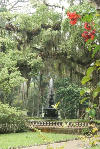 Бразилия, самостоятельное путешествие. Часть 3. Ресифе, Олинда, Рио-де-Жанейро